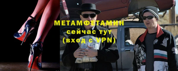 хмурый Аркадак